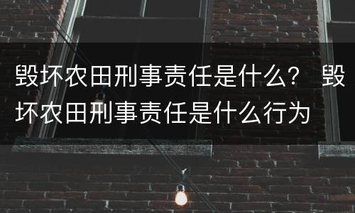 毁坏农田刑事责任是什么？ 毁坏农田刑事责任是什么行为
