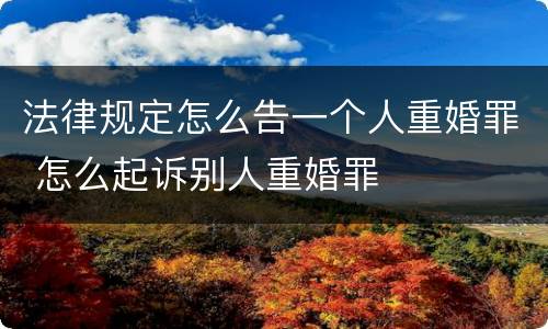 法律规定怎么告一个人重婚罪 怎么起诉别人重婚罪