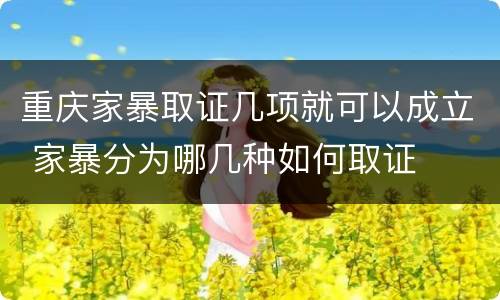 重庆家暴取证几项就可以成立 家暴分为哪几种如何取证