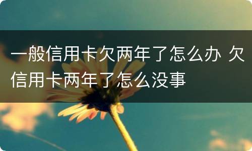 一般信用卡欠两年了怎么办 欠信用卡两年了怎么没事