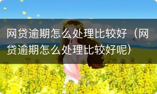 网贷逾期怎么处理比较好（网贷逾期怎么处理比较好呢）
