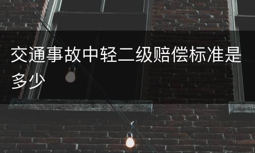 交通事故中轻二级赔偿标准是多少