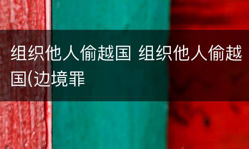 组织他人偷越国 组织他人偷越国(边境罪