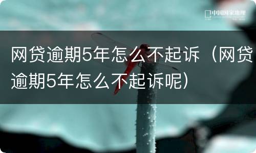 网贷逾期5年怎么不起诉（网贷逾期5年怎么不起诉呢）
