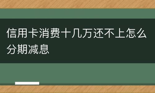 信用卡消费十几万还不上怎么分期减息