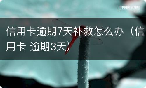 信用卡逾期7天补救怎么办（信用卡 逾期3天）
