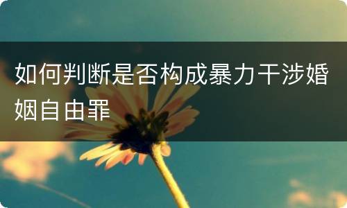 如何判断是否构成暴力干涉婚姻自由罪