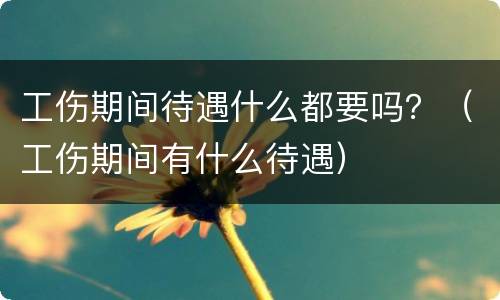 工伤期间待遇什么都要吗？（工伤期间有什么待遇）