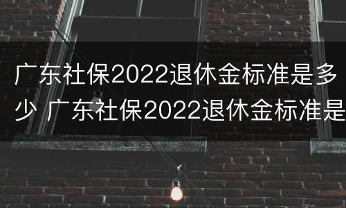 广东社保2022退休金标准是多少 广东社保2022退休金标准是多少元