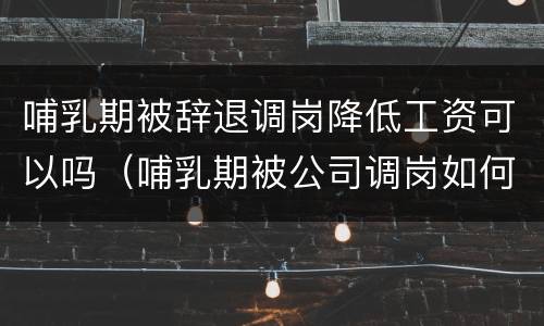 哺乳期被辞退调岗降低工资可以吗（哺乳期被公司调岗如何申请劳动仲裁）