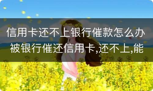 信用卡还不上银行催款怎么办 被银行催还信用卡,还不上,能怎么样