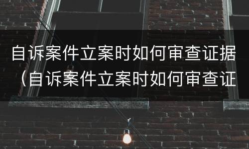 自诉案件立案时如何审查证据（自诉案件立案时如何审查证据材料）