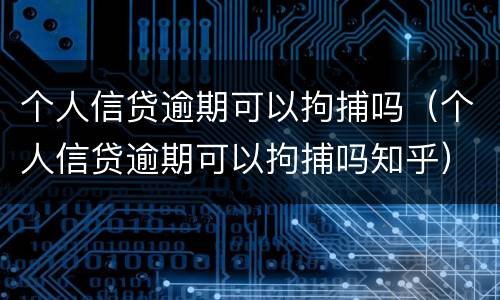 个人信贷逾期可以拘捕吗（个人信贷逾期可以拘捕吗知乎）