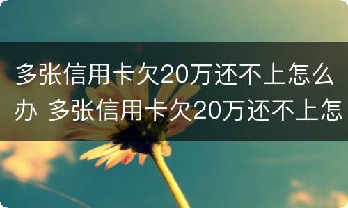 多张信用卡欠20万还不上怎么办 多张信用卡欠20万还不上怎么办名下无财产