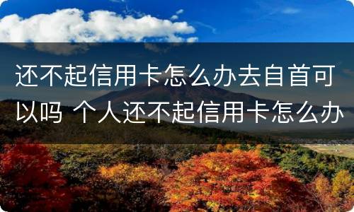 还不起信用卡怎么办去自首可以吗 个人还不起信用卡怎么办