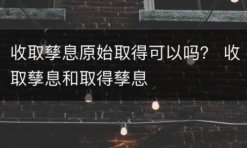 收取孳息原始取得可以吗？ 收取孳息和取得孳息