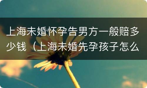 上海未婚怀孕告男方一般赔多少钱（上海未婚先孕孩子怎么上户口）