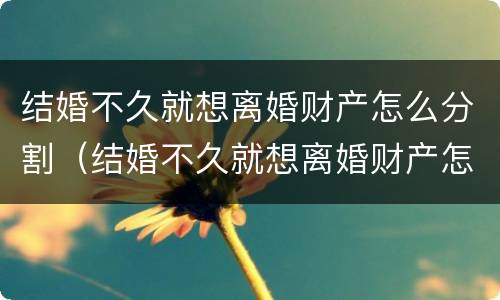结婚不久就想离婚财产怎么分割（结婚不久就想离婚财产怎么分割好）