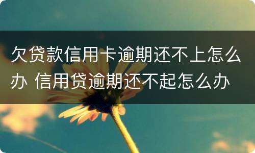 欠贷款信用卡逾期还不上怎么办 信用贷逾期还不起怎么办