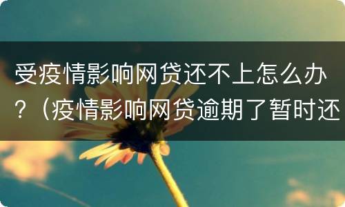 受疫情影响网贷还不上怎么办?（疫情影响网贷逾期了暂时还不上怎么办）