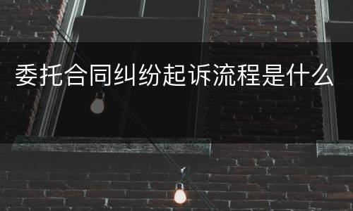 委托合同纠纷起诉流程是什么