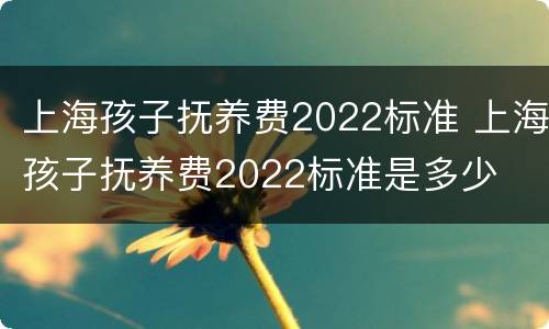 上海孩子抚养费2022标准 上海孩子抚养费2022标准是多少