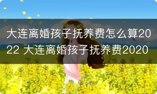 大连离婚孩子抚养费怎么算2022 大连离婚孩子抚养费2020