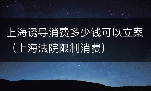 上海诱导消费多少钱可以立案（上海法院限制消费）