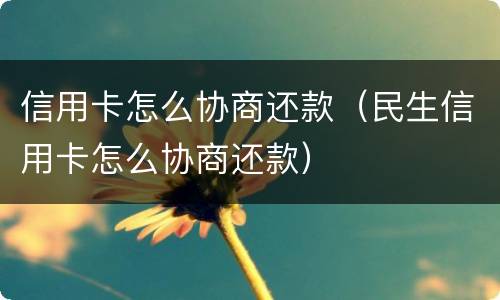 信用卡怎么协商还款（民生信用卡怎么协商还款）