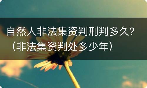 自然人非法集资判刑判多久？（非法集资判处多少年）