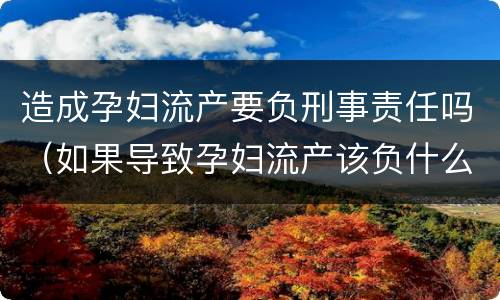 造成孕妇流产要负刑事责任吗（如果导致孕妇流产该负什么责任）