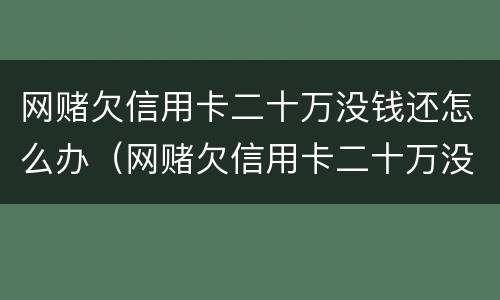 网赌欠信用卡二十万没钱还怎么办（网赌欠信用卡二十万没钱还怎么办理）