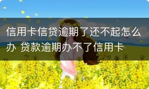 信用卡信贷逾期了还不起怎么办 贷款逾期办不了信用卡