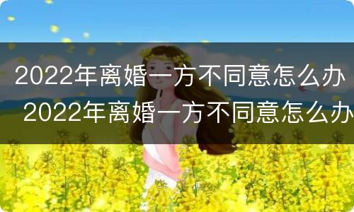 2022年离婚一方不同意怎么办 2022年离婚一方不同意怎么办理