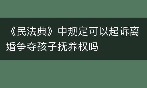 《民法典》中规定可以起诉离婚争夺孩子抚养权吗
