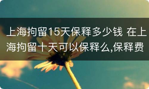 上海拘留15天保释多少钱 在上海拘留十天可以保释么,保释费多少钱