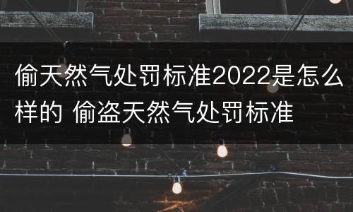 偷天然气处罚标准2022是怎么样的 偷盗天然气处罚标准