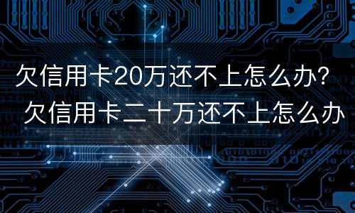 欠信用卡20万还不上怎么办？ 欠信用卡二十万还不上怎么办
