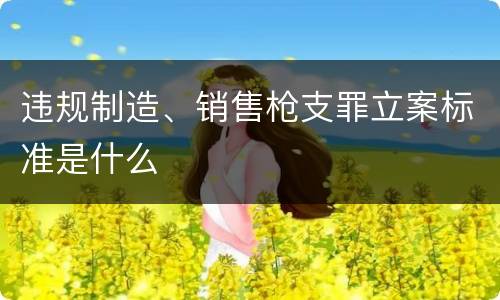 违规制造、销售枪支罪立案标准是什么