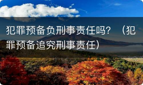 犯罪预备负刑事责任吗？（犯罪预备追究刑事责任）