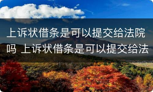 上诉状借条是可以提交给法院吗 上诉状借条是可以提交给法院吗