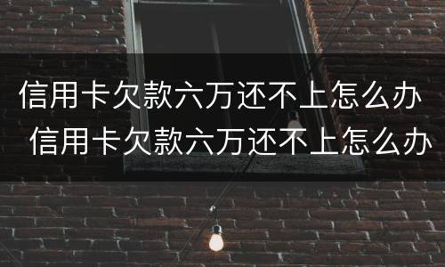 信用卡欠款六万还不上怎么办 信用卡欠款六万还不上怎么办呢