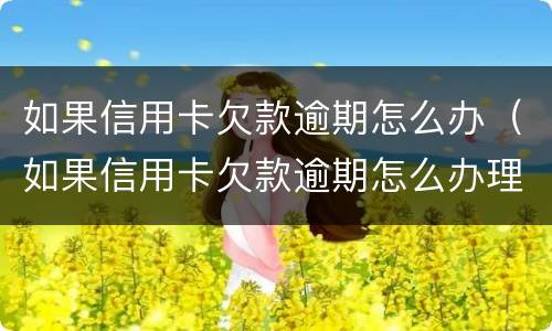 如果信用卡欠款逾期怎么办（如果信用卡欠款逾期怎么办理）
