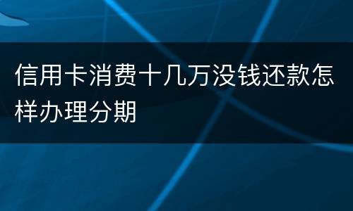 信用卡消费十几万没钱还款怎样办理分期