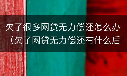 欠了很多网贷无力偿还怎么办（欠了网贷无力偿还有什么后果）