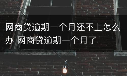 网商贷逾期一个月还不上怎么办 网商贷逾期一个月了
