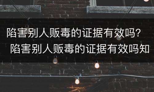 陷害别人贩毒的证据有效吗？ 陷害别人贩毒的证据有效吗知乎