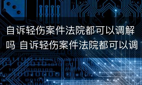 自诉轻伤案件法院都可以调解吗 自诉轻伤案件法院都可以调解吗怎么调解