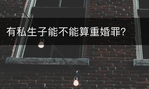 有私生子能不能算重婚罪？