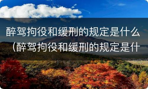 醉驾拘役和缓刑的规定是什么（醉驾拘役和缓刑的规定是什么时候实施）